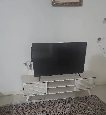همخونه ی دختر دانشجو یا کارمند موجه