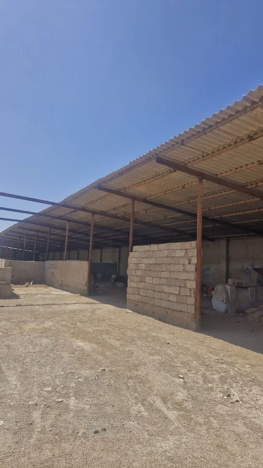 دامداری 5 هزارمتری