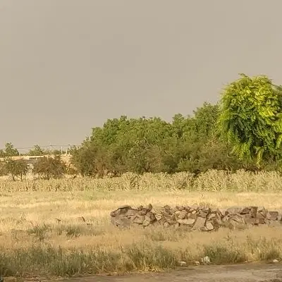 زمین