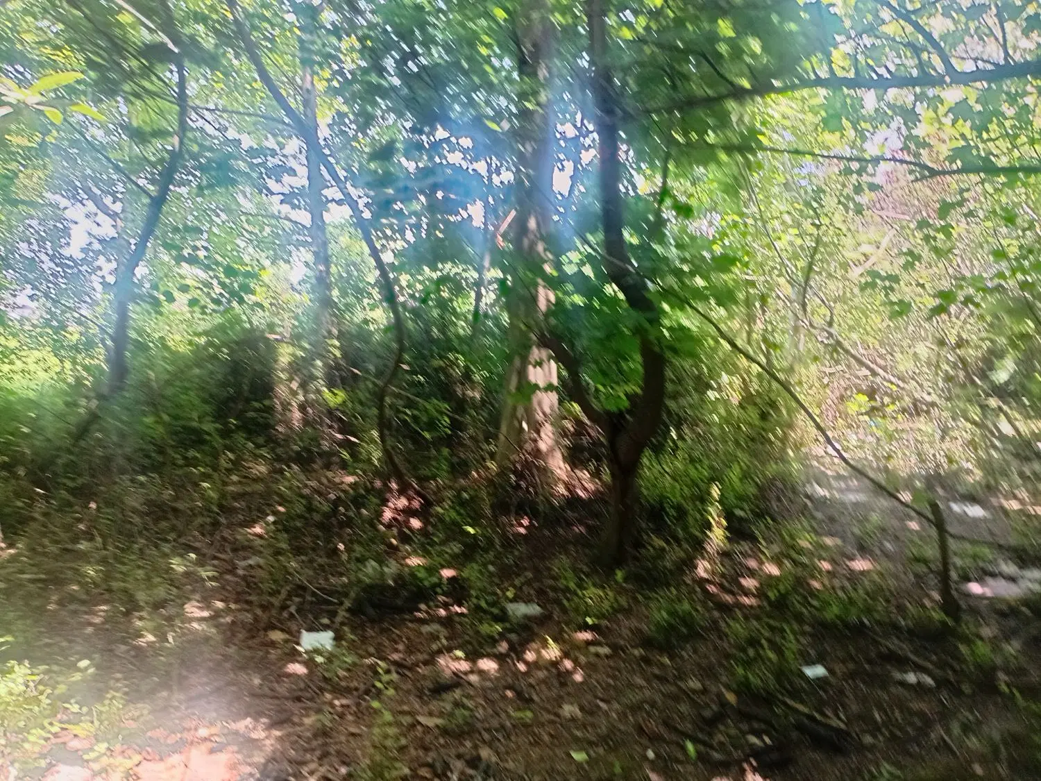 ۳۰۰ متر زمین مسکونی  مهرگان