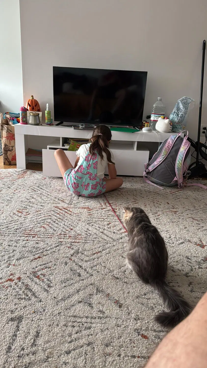 همخونه میشم کارمند هستم