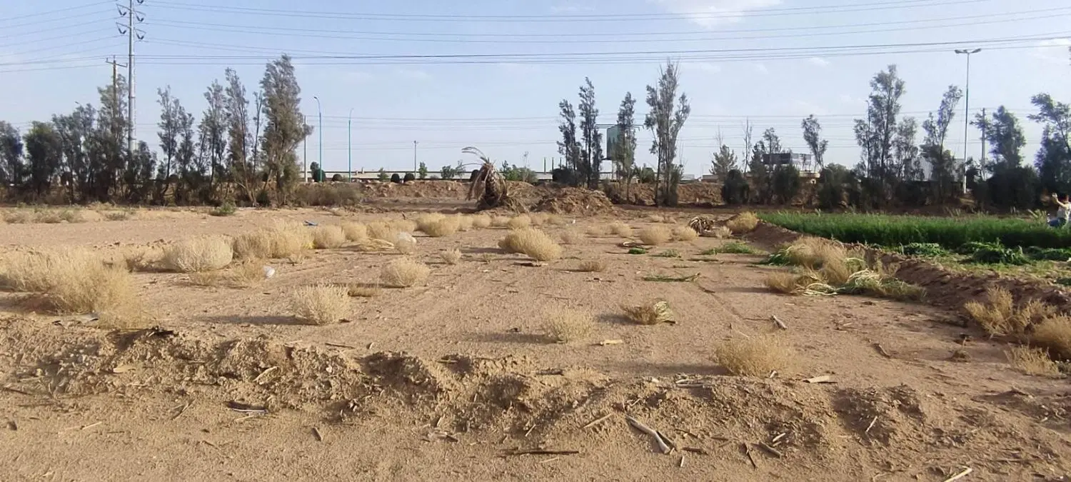 کشاورز و کشاورزی