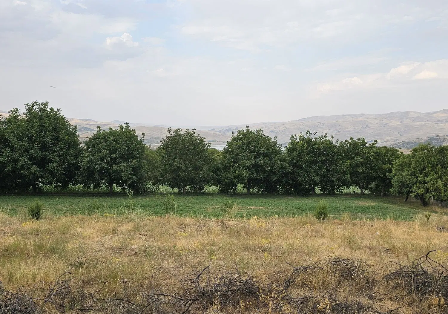 زمین سراب قامیش
