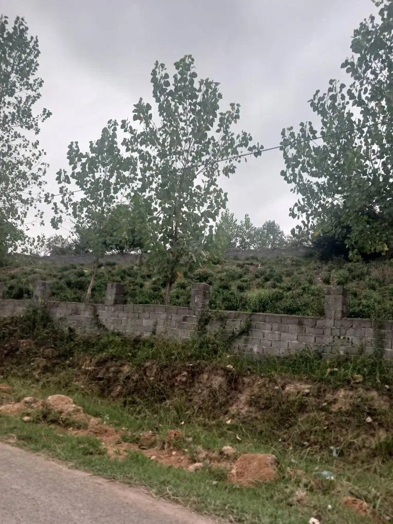 فروش زمین روستایی سند مالکیت تک برگ