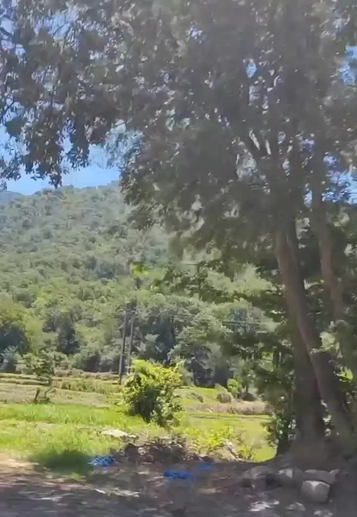 اجاره ویلا جنگلی و کوهستانی دربست
