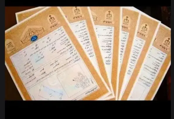 ۶قصب زمین خیابان پهلوان