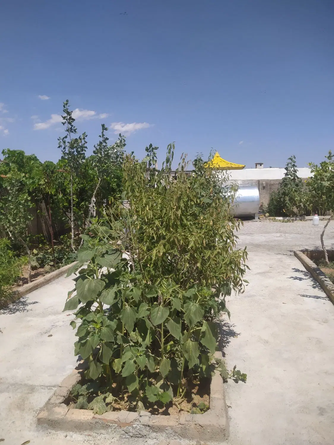 باغ ویلای در بهترین جای صوفیان علی آبادکوی استادان