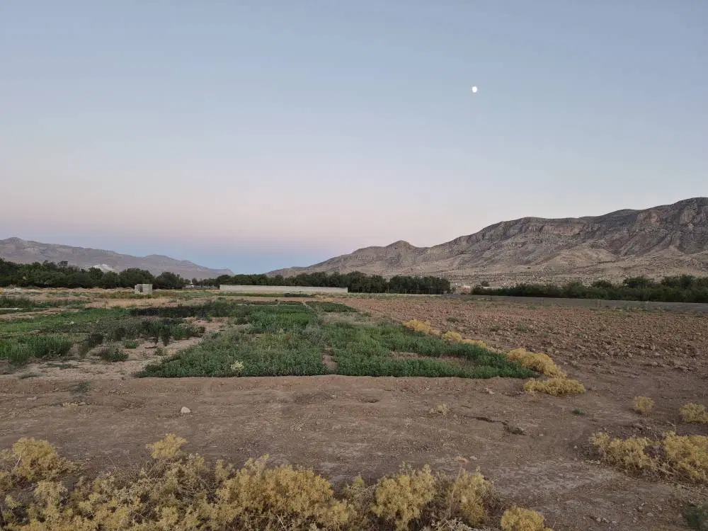 فروش زمین زراعتی