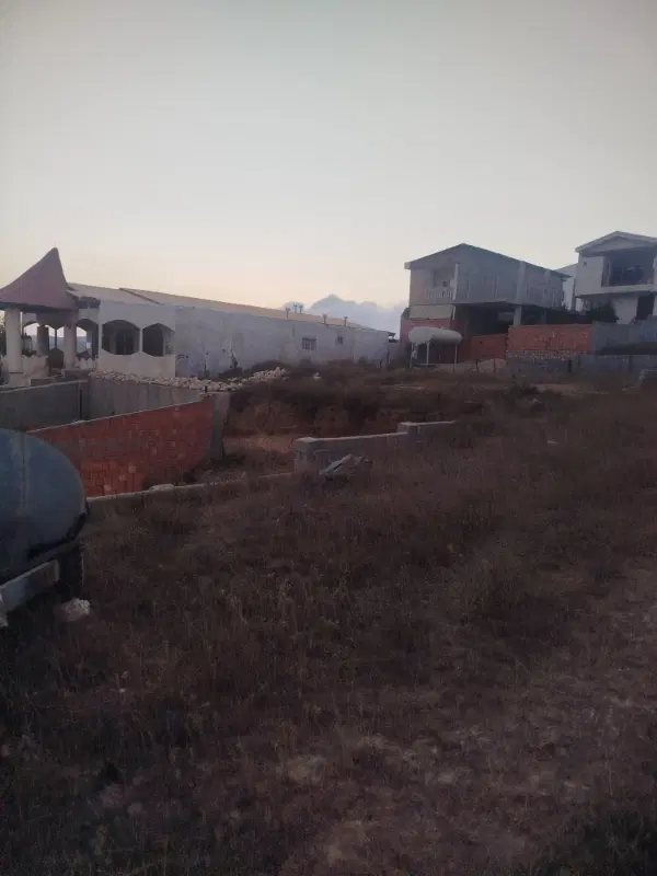 زمین کوهستانی و جنگلی