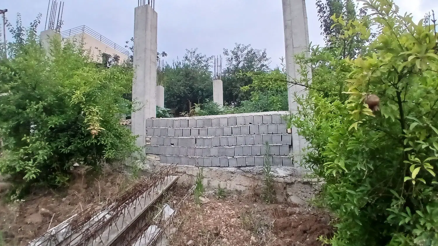 فروش باغ