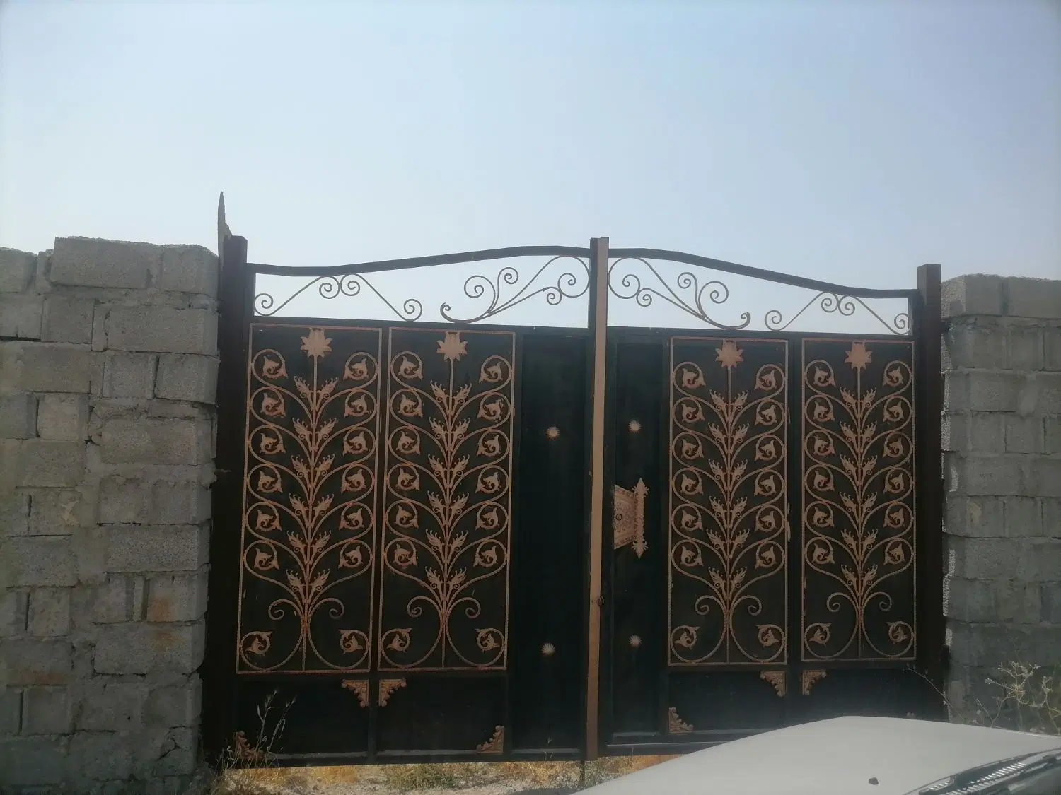 زمین 1100متری