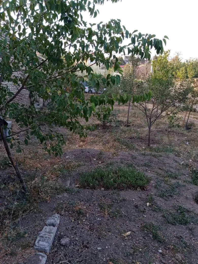 ۵۵۵ متر زمین در کرشت