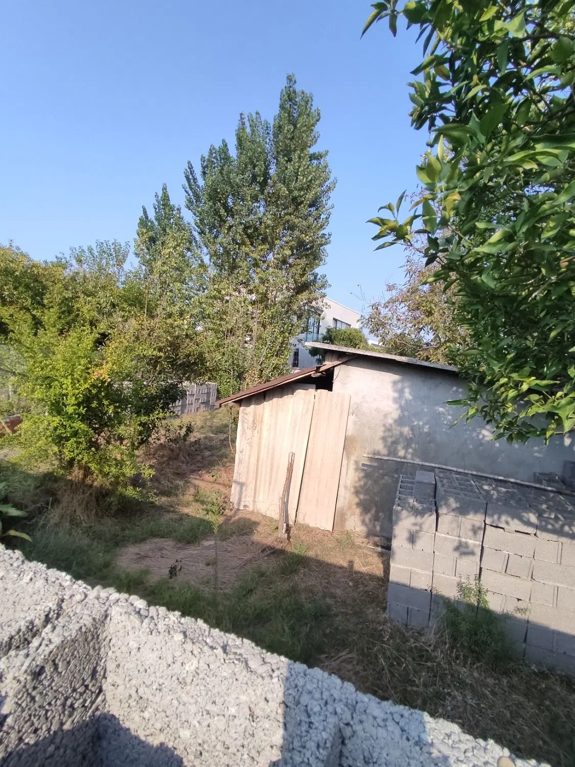 زمین ۲۱۰ متری دور دیوار حاجی بکنده