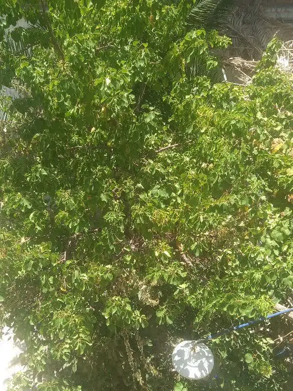 منزل کلنگی ۱۵۱متر ۲طبقه