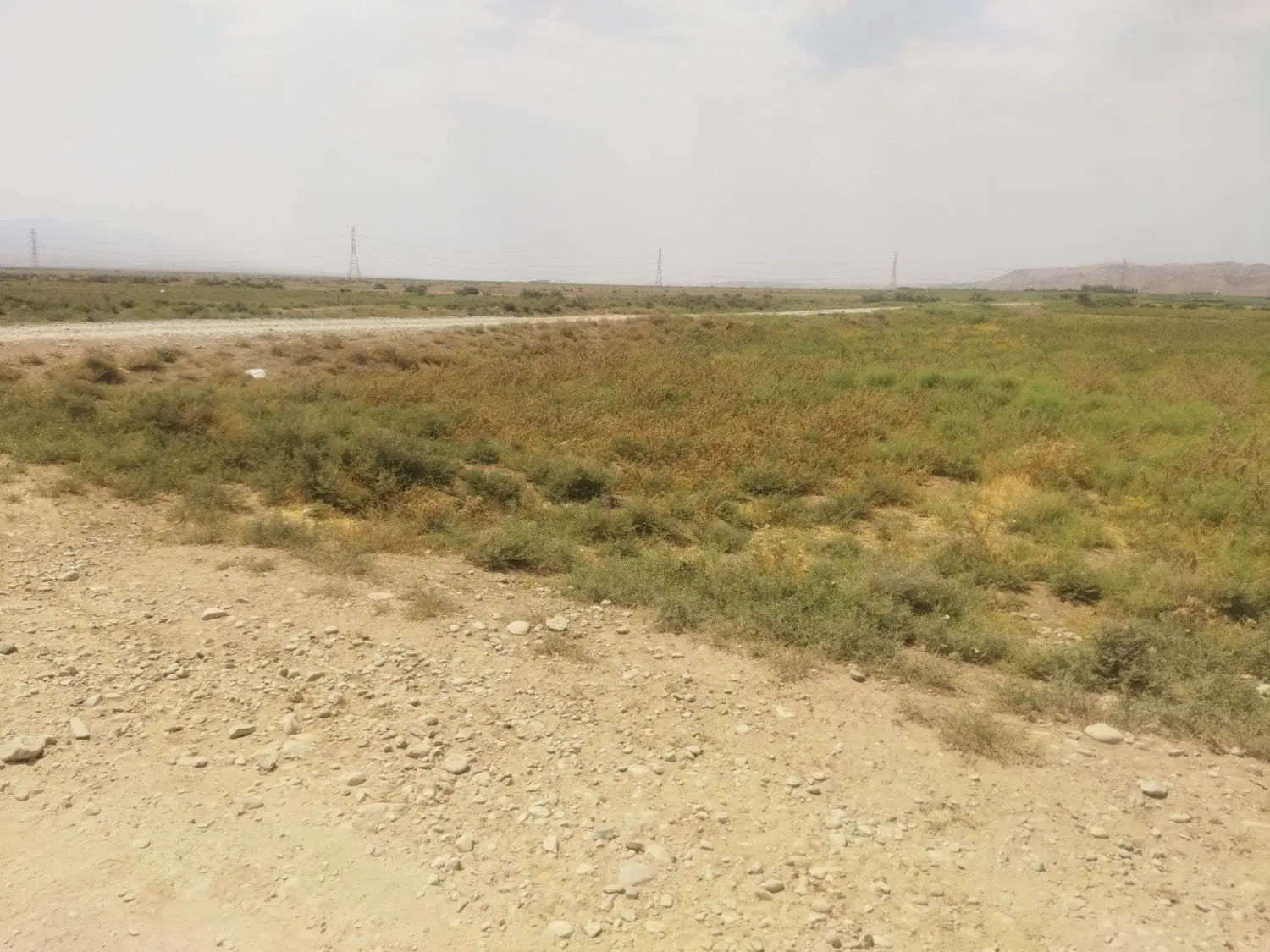 زمین پیشک سه