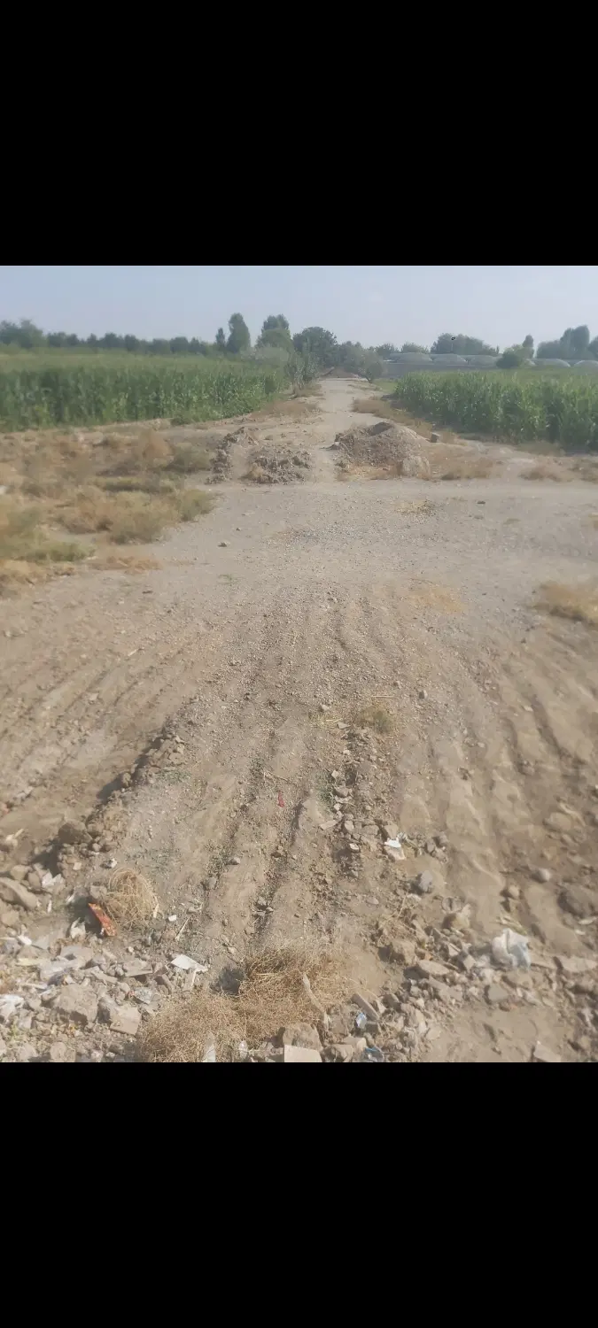 زمین کشاورزی