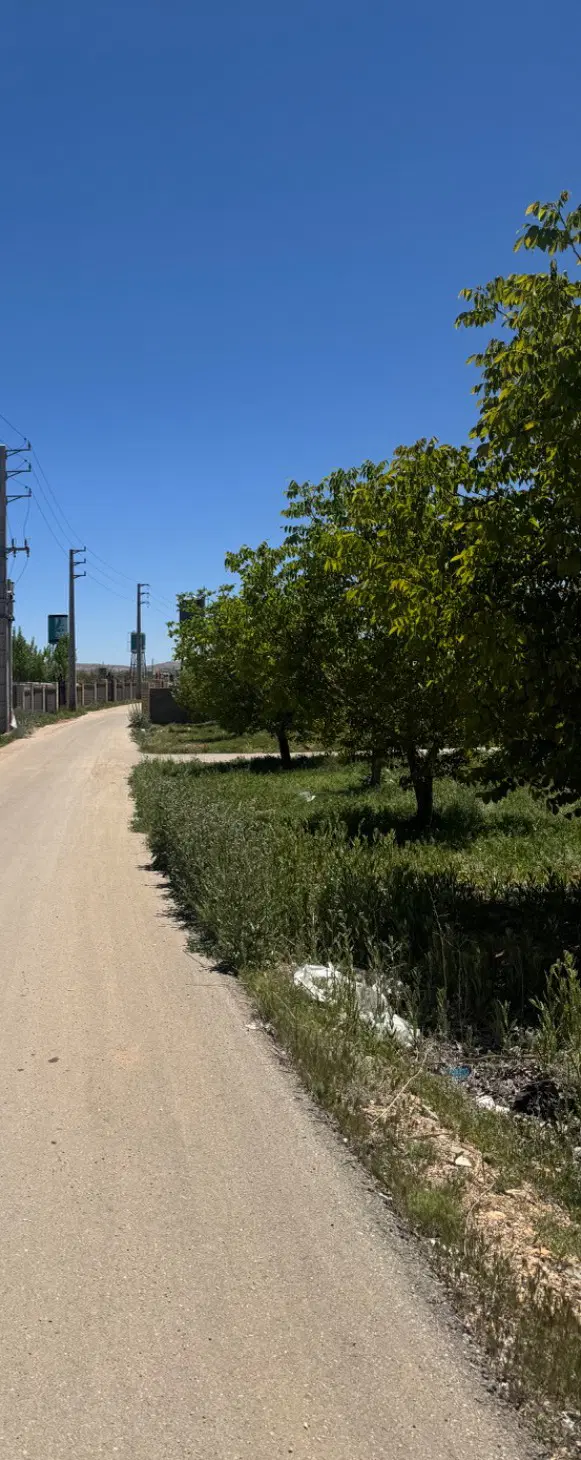 زمین با اب و برق و گاز درختان ثمری ۲۰ساله