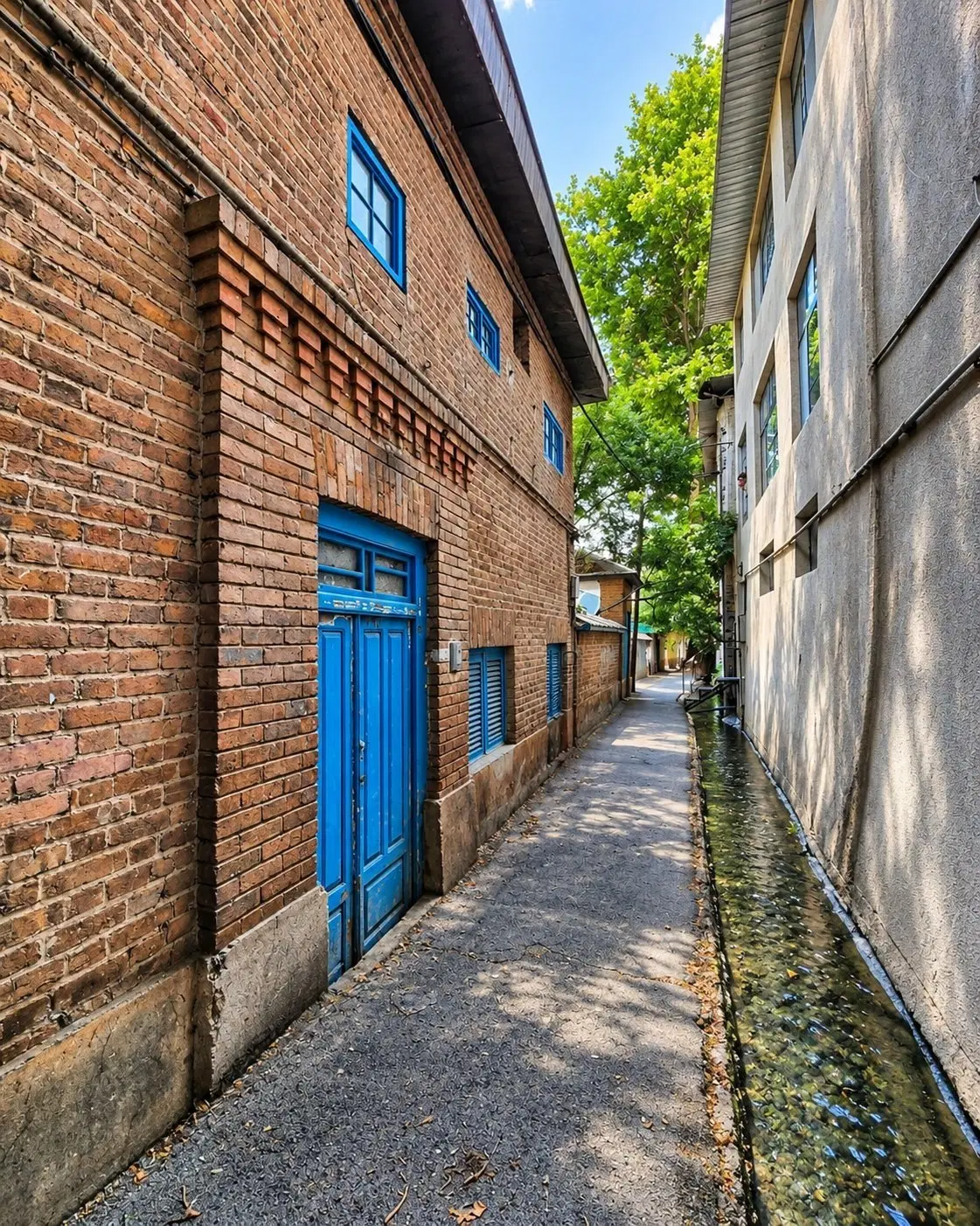 خوش نقشه  غرق نور  سند دار  کیان