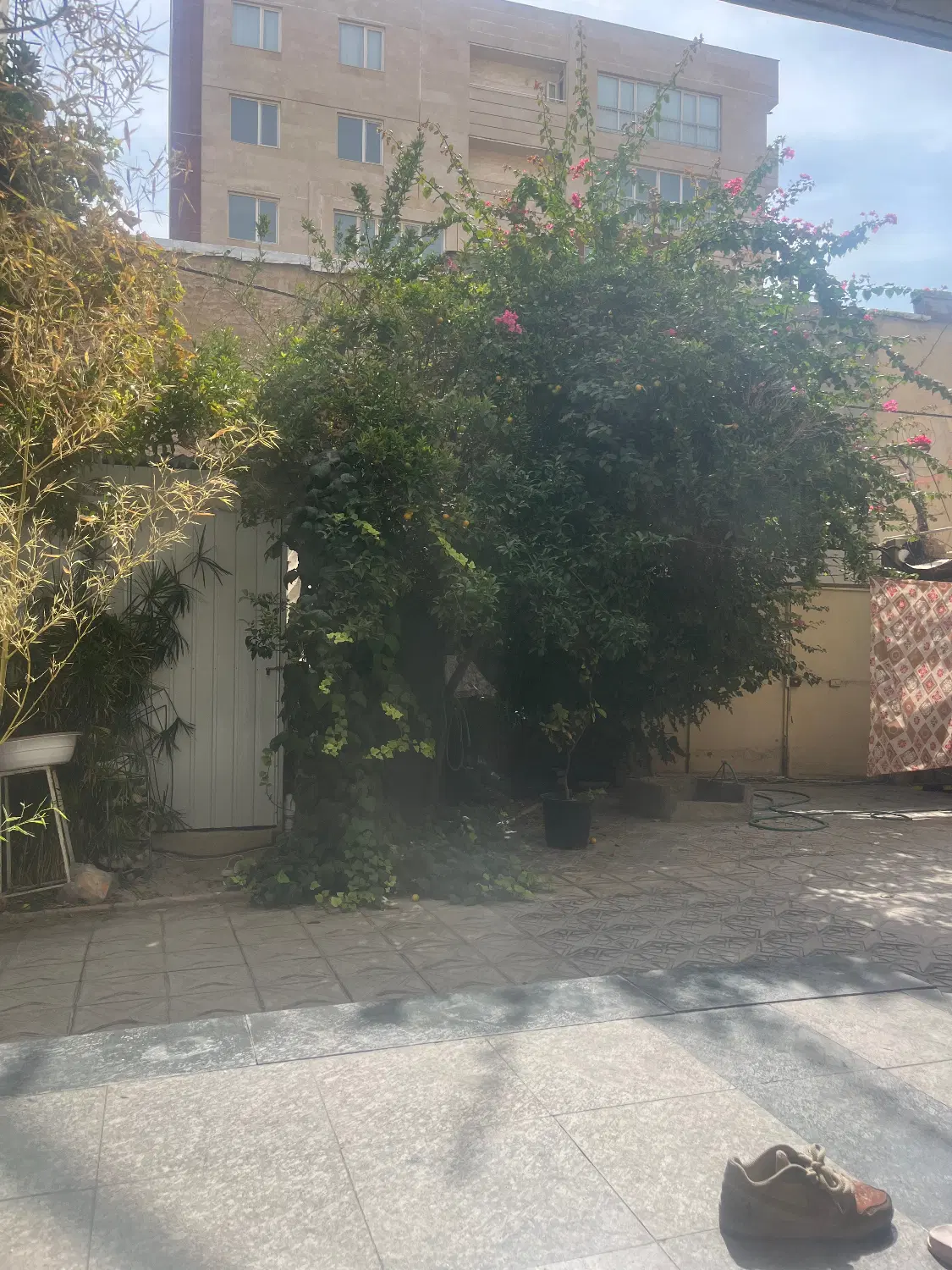 جایگزین تخت بالا برای خوابگاه دخترانه