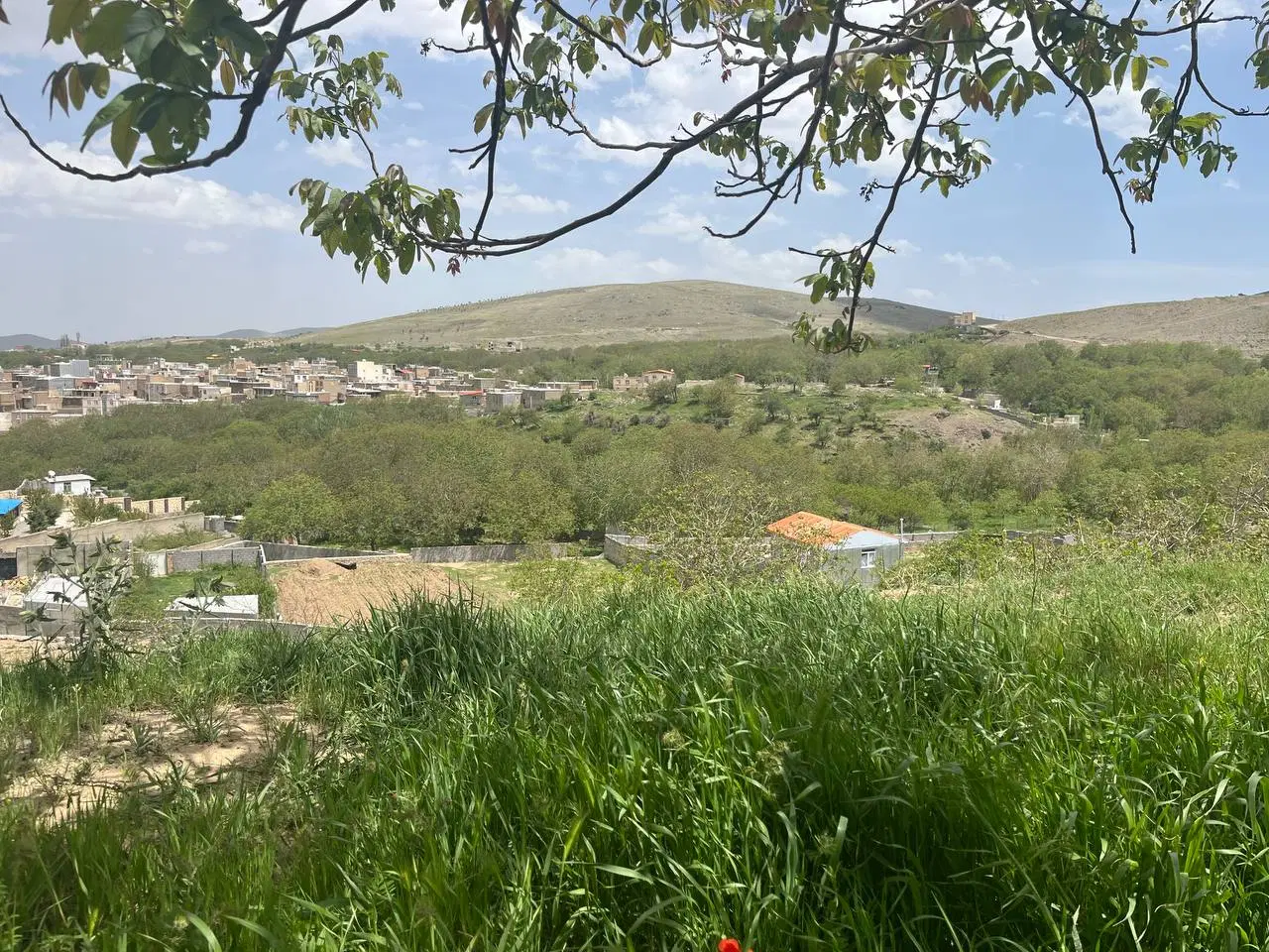 زمین باغی در چشین