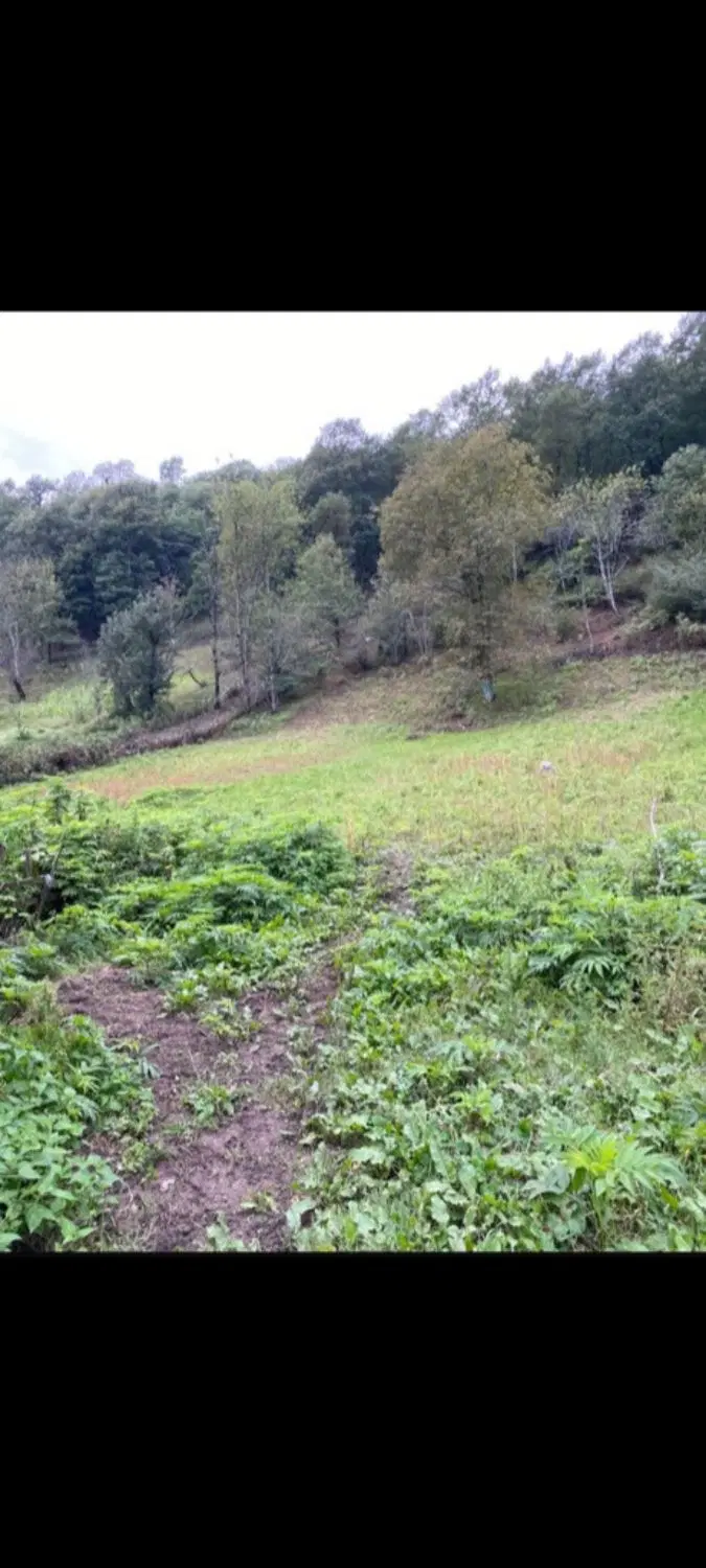 فروش زمین مستعثنیات در روستای کسمه جان