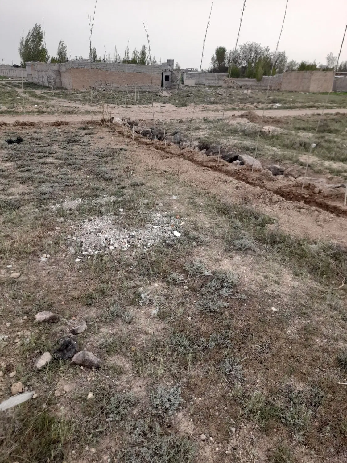 ۱۰۰متر زمین بهشت زهرا