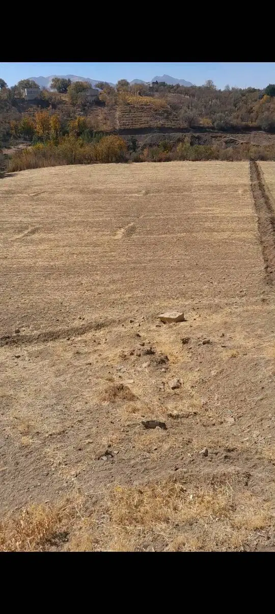 یک قطعه زمین کشاورزی در روستای گزنهله .