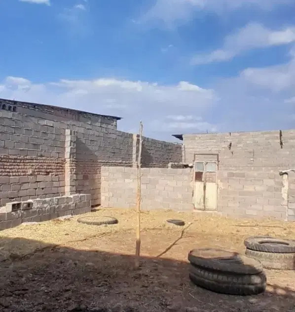 دامداری بزرگ
