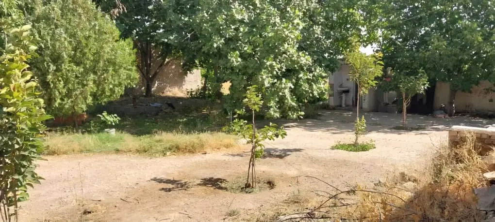 زمین ملکی باغی