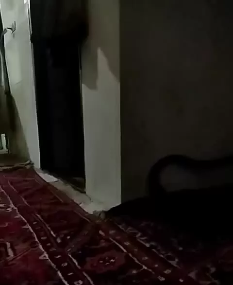 ویلای صدمتری کلنگی
