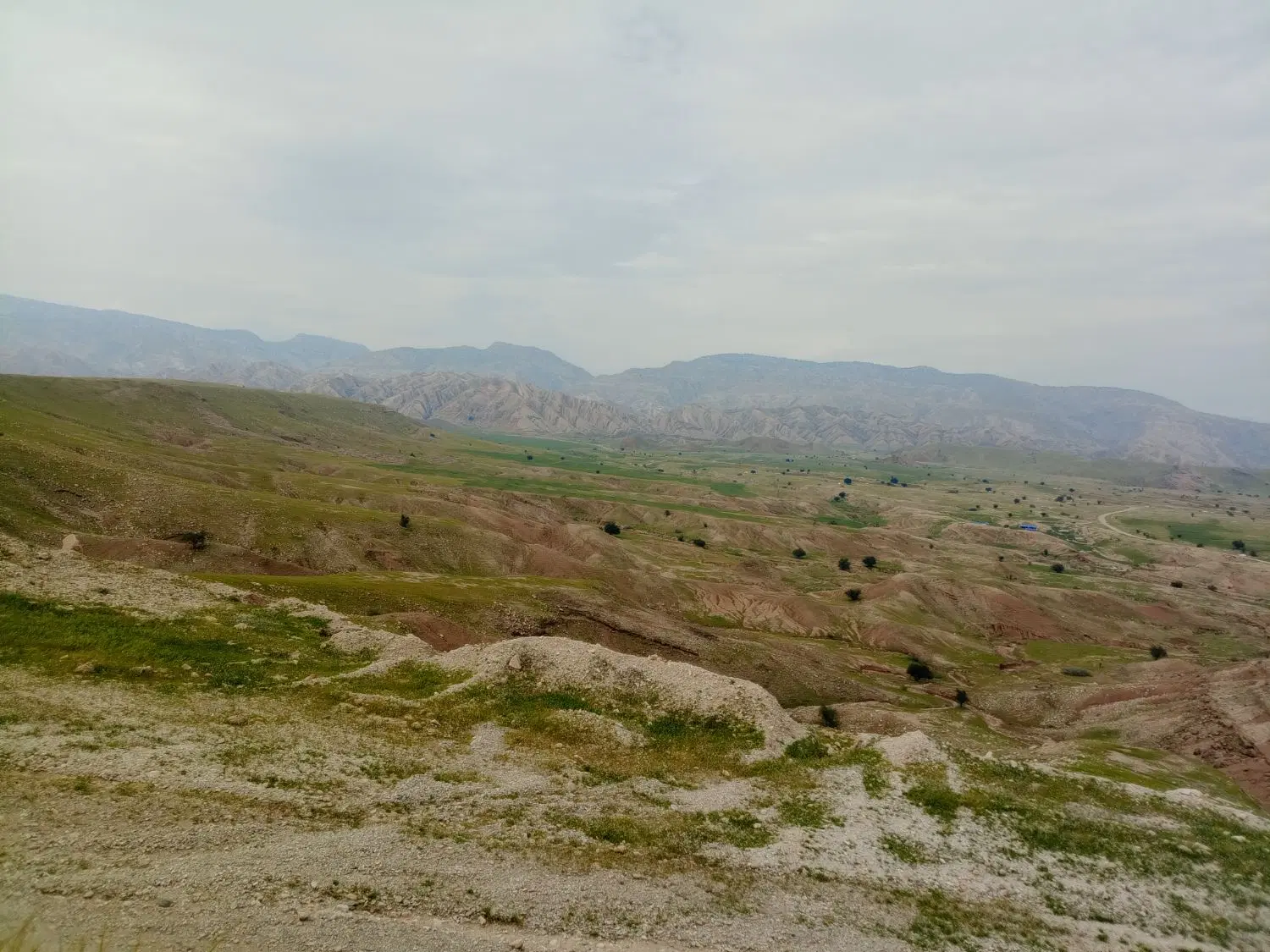 زمین شهدا