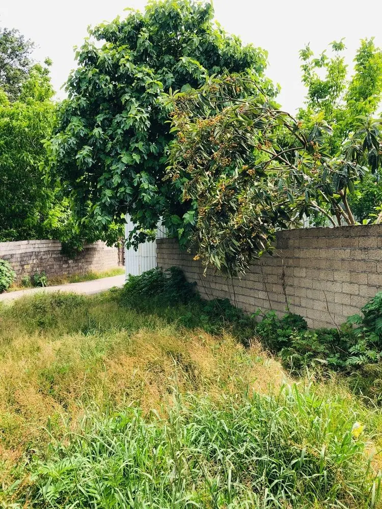 زمینی به متراژ 181
