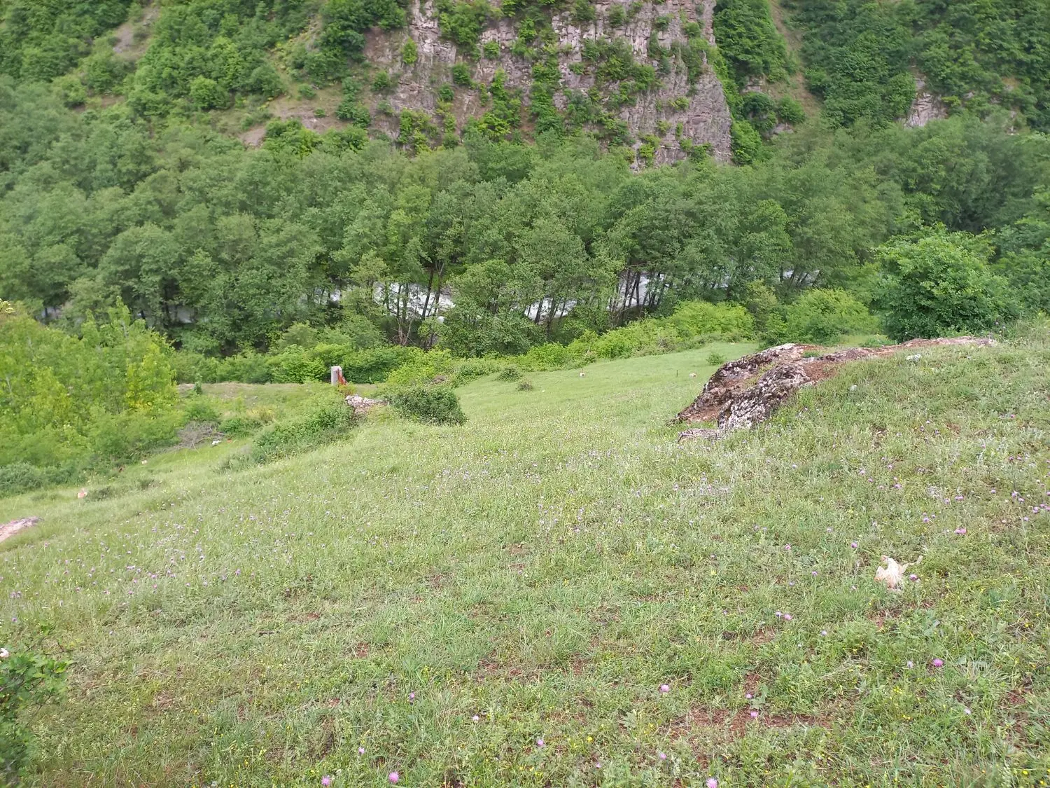 زمین ۶۳۸متری درروستای کلیشم منطقه دوهزارتنکابن