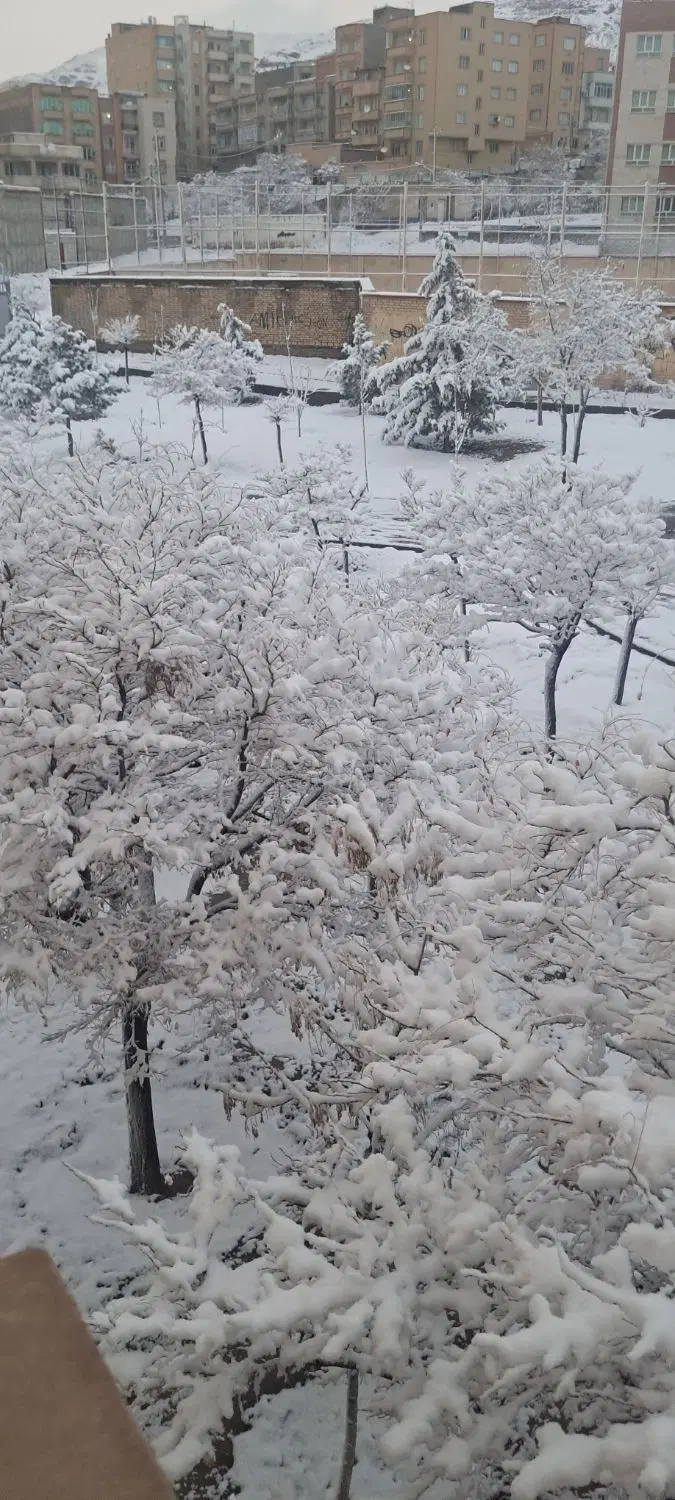 زمین کارگاهی در آخولا