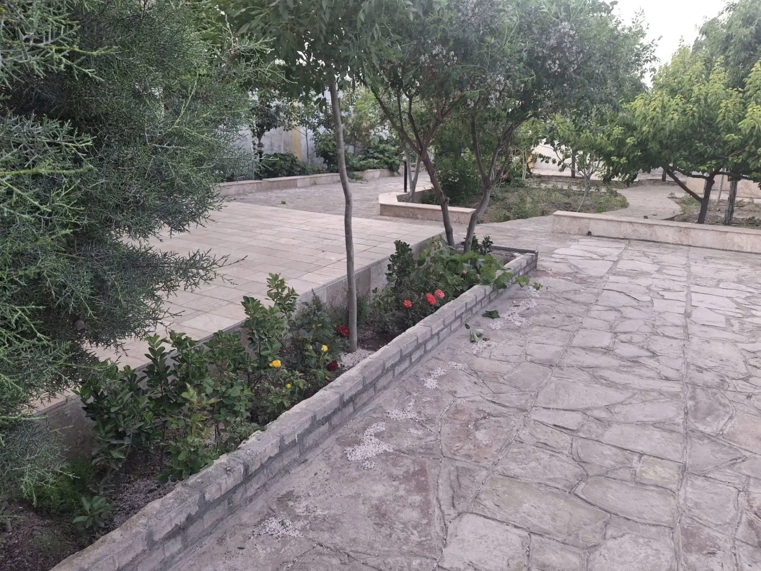 باغ شاندیز سوران