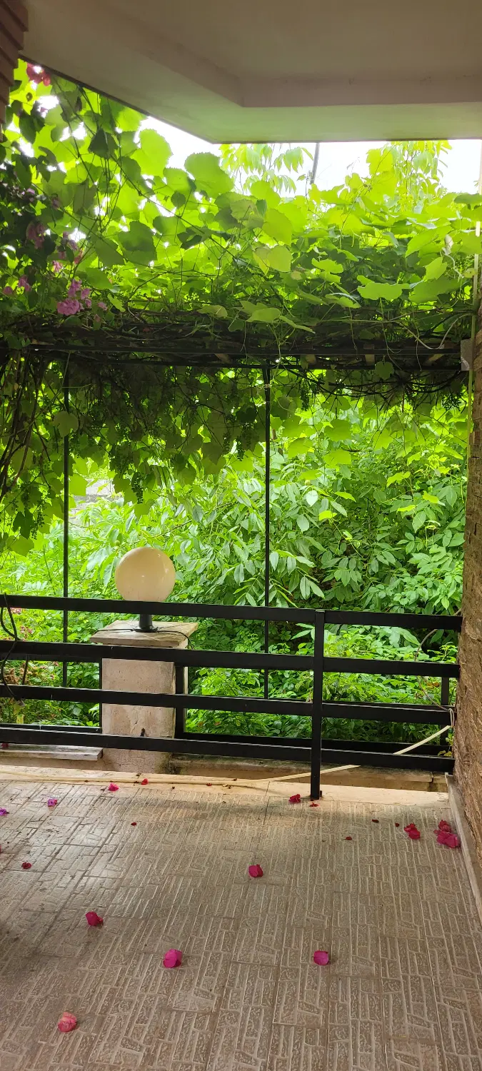 نیازمند هم خونه