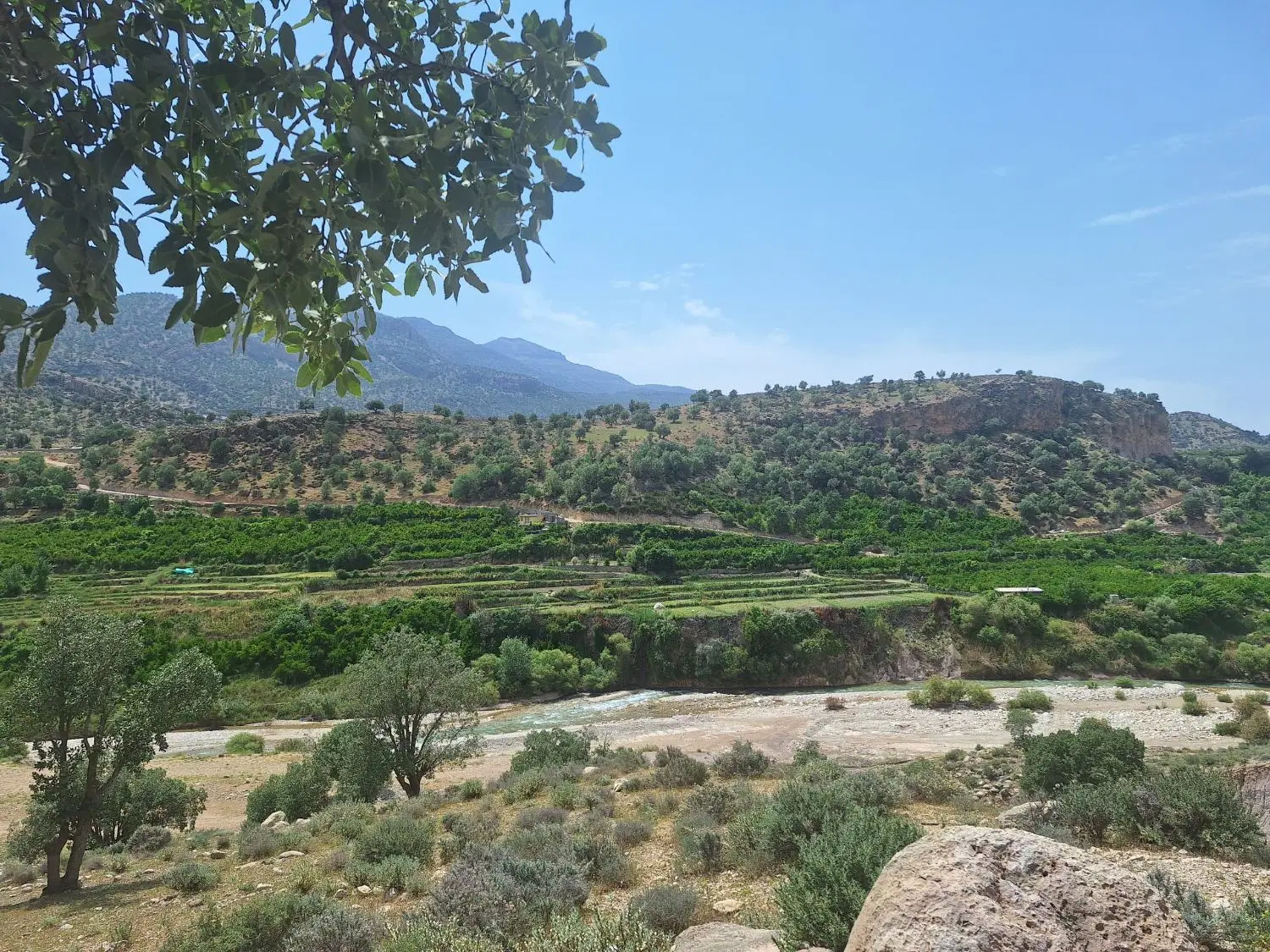 زمین مسکونی گورک کله بندی