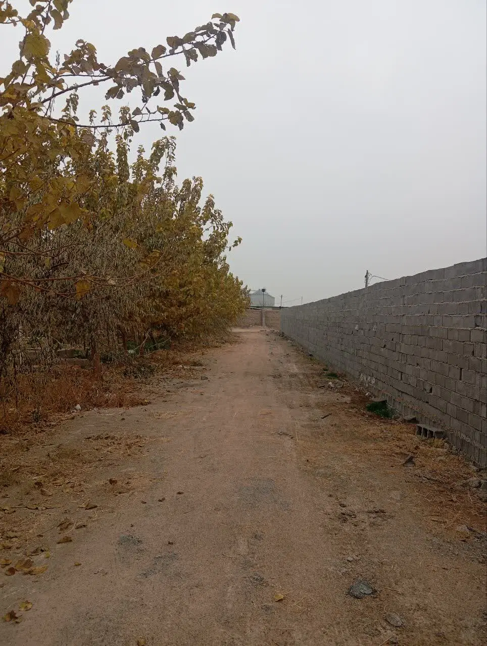باغچه ۵۰۰ متری سند دار