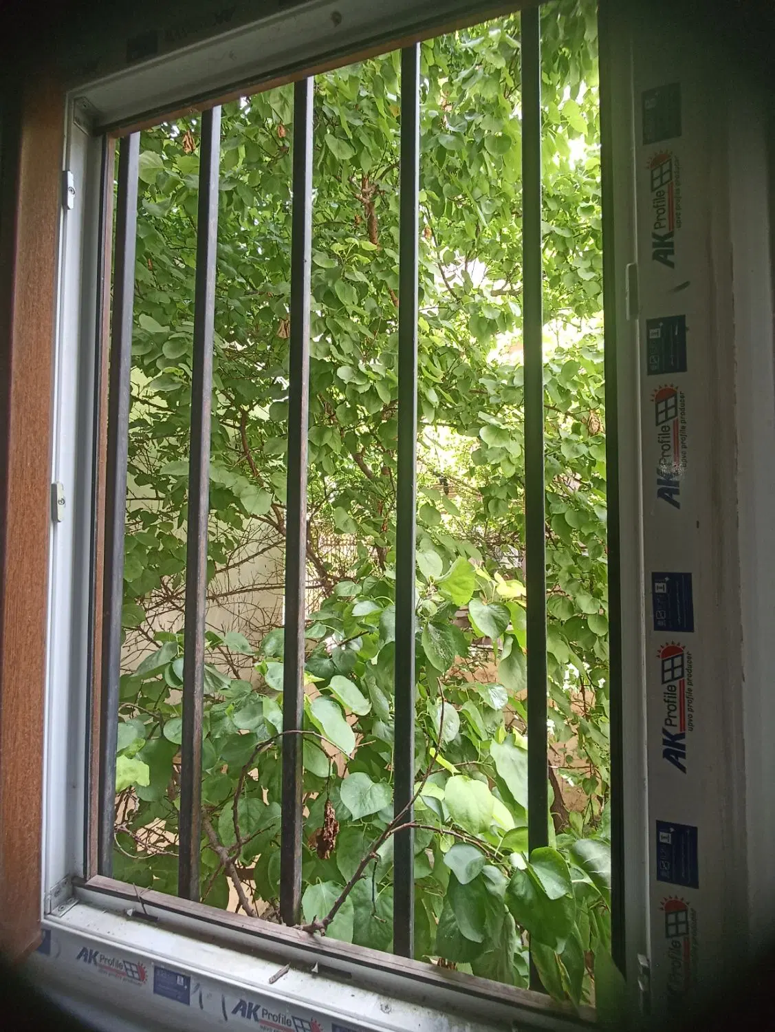اجاره 160 متری سروش تکواحدی