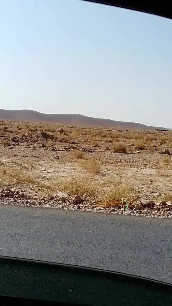 زمین