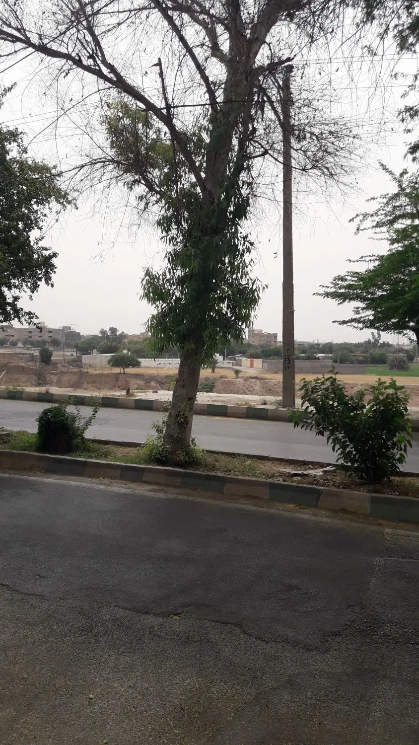 فروش تجاری