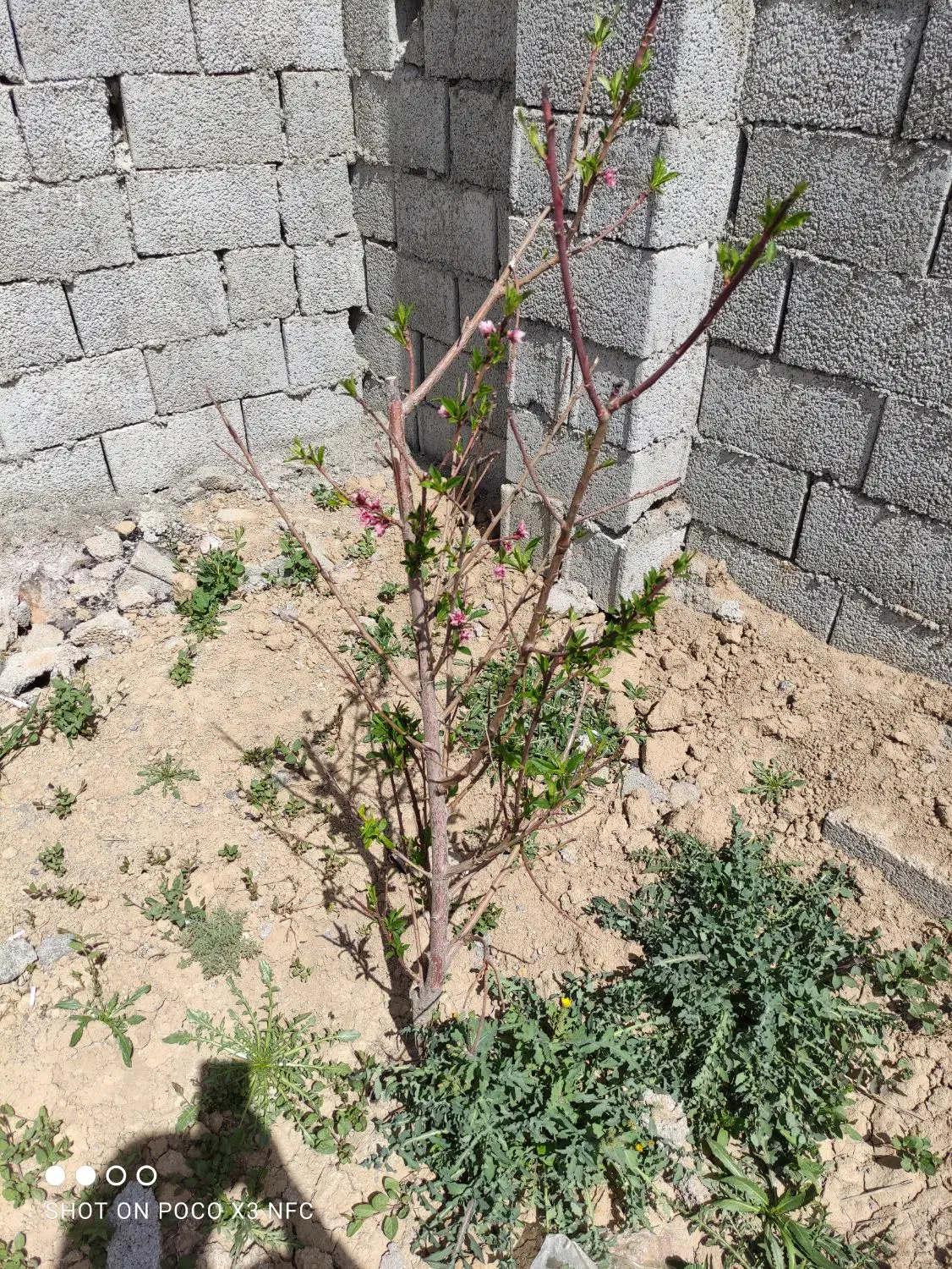 کارگاه 230متری