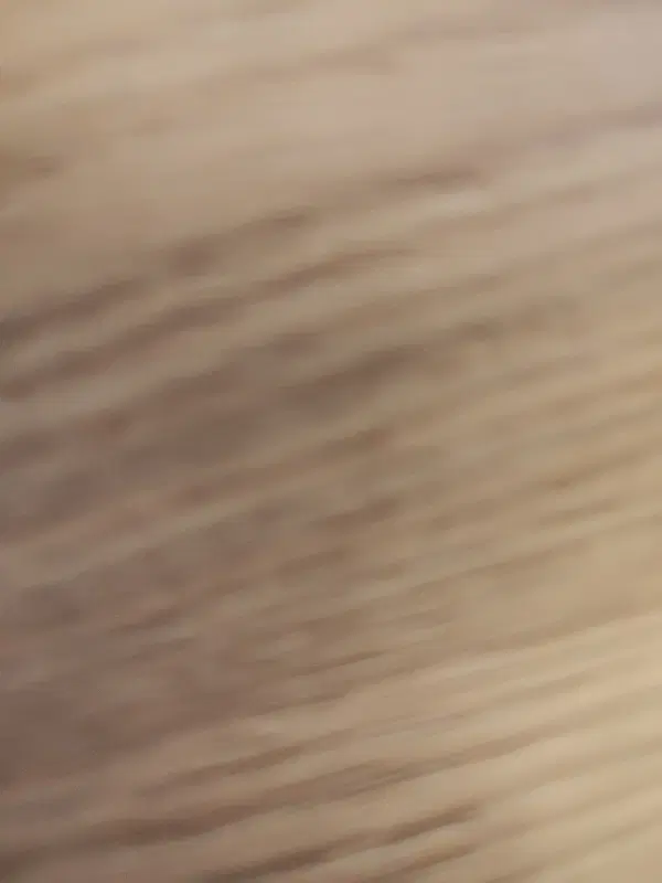 wtjatjatnstnstjstwt