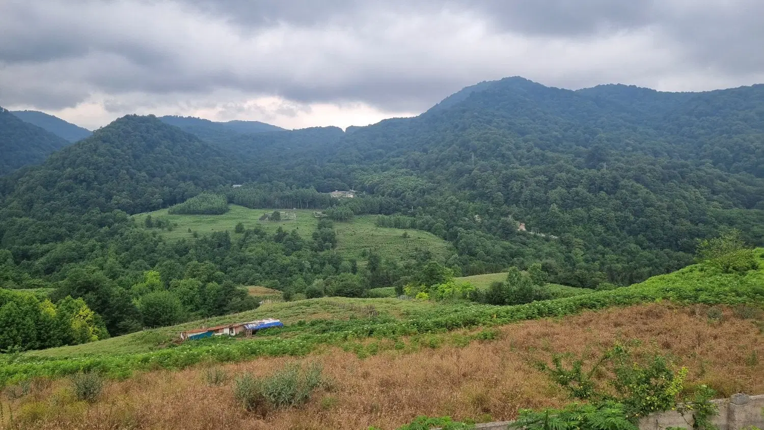 زمین کشاورزی