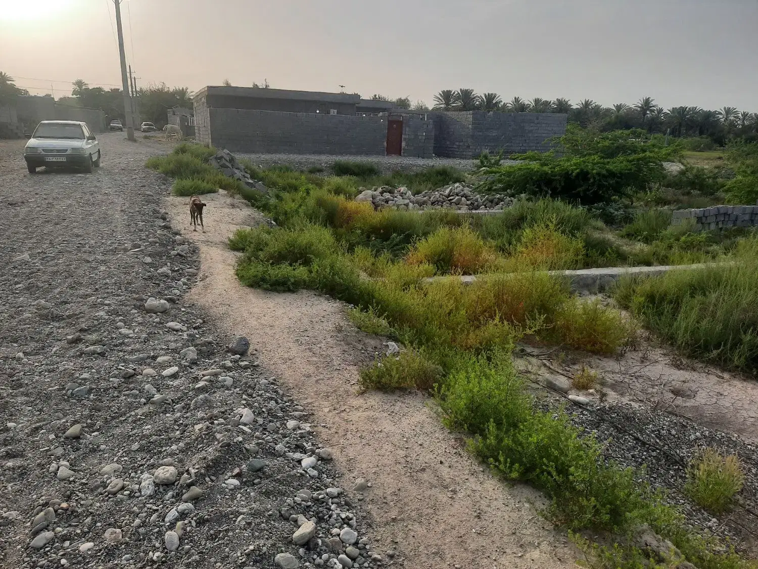 زمین مسکونی ۳۰۰ متر حکمی