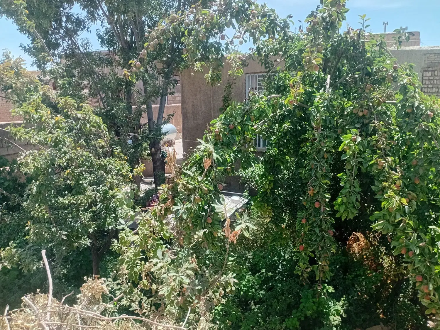 خانه ویلایی دشتخاک