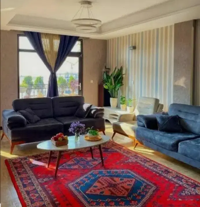 هم خونه منظم و تمیز