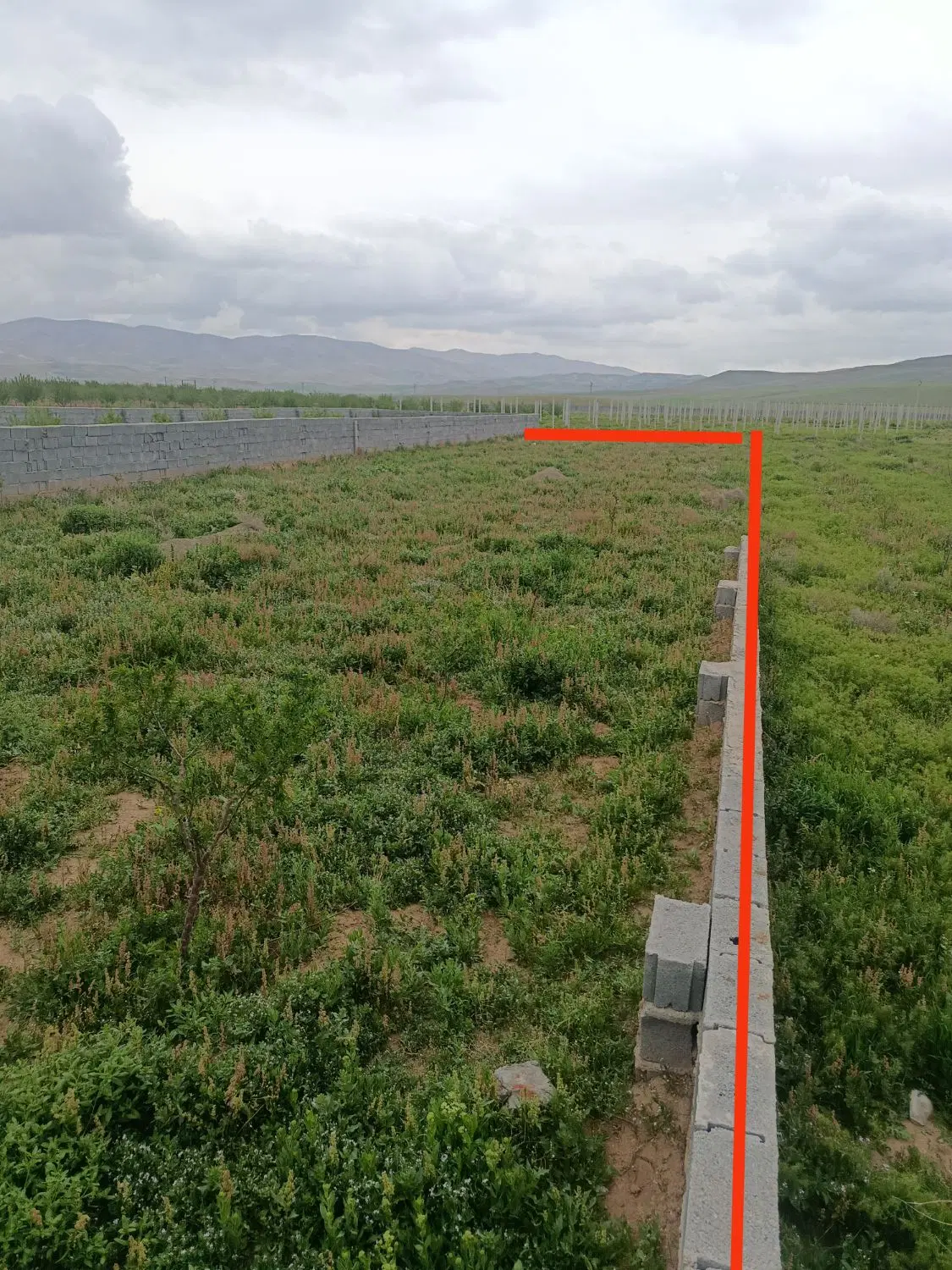 فروش زمین زراعی