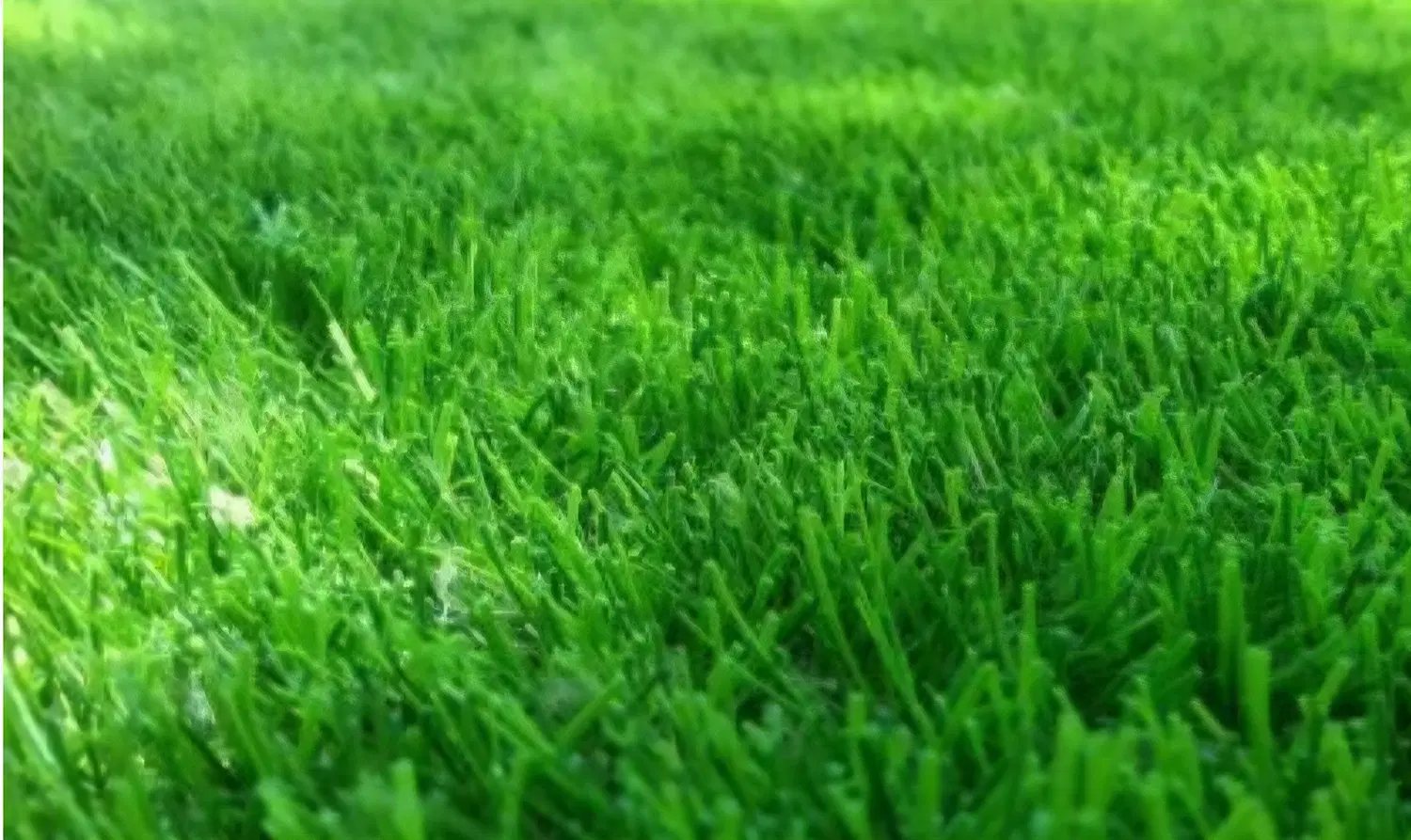 فروش زمین تجاری مسکونی