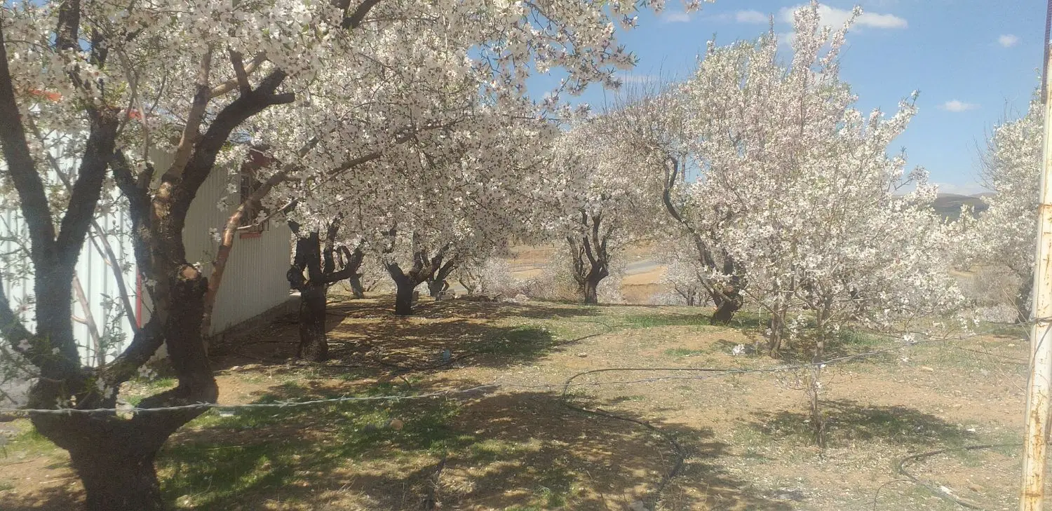 ۱۰۷۰متر باغ فنس کشی شده
